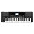 Teclado Arranjador 61 Teclas Korg Pa300 Professional Arranger - Imagem 1