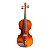 Violino 3/4 Benson BVR301 Ruggeri Series com Estojo - Imagem 2