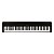 Kit Piano Digital 88 Teclas Yamaha P-45B com Suporte - Imagem 2