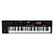 Teclado Sintetizador 61 Teclas Roland XPS-10X - Imagem 1