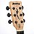 Violão Folk Elétrico Aço Strinberg FS4D FOS Okoume Fosco - Imagem 9