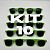 KIT 10 BALLON FESTA VERDE ABACATE - Imagem 1