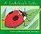 a ladybug's life - Imagem 1