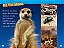 national geographic kids readers meerkats - Imagem 3
