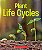 plant life cycles - Imagem 1