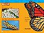 national geographic kids readers caterpillar to butterfly - Imagem 2