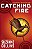 hunger games 2 catching fire - Imagem 1