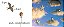 I spy little animals - Imagem 2
