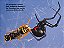 Spiders - Imagem 2