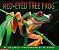 red eyed tree frog - Imagem 1