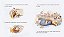Library Lion - Imagem 4