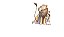 Library Lion - Imagem 2