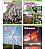Superscience STEM Instant Activities: Grades 4-6 - Imagem 3