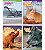Superscience STEM Instant Activities: Grades 4-6 - Imagem 4
