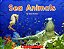 sea animals - Imagem 1