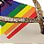 Chinelo Havaianas Slim Pride II - Bege Palha - Imagem 4