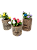 kit Vasinhos de Madeira Personalizados - Flores Artificiais - Dia das Mães - Imagem 2