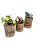 kit Vasinhos de Madeira Personalizados - Flores Artificiais - Dia das Mães - Imagem 4