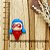 BISCUIT LADYBUG - Imagem 1