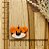 BISCUIT TIGRE - Imagem 1