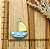 BISCUIT BARCO A VELA CANDY - Imagem 1