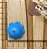 BISCUIT POLVO DO HUMOR AZUL - Imagem 2