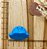 BISCUIT POLVO DO HUMOR AZUL - Imagem 1