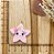 BISCUIT ESTRELA ROSA BEBÊ - Imagem 1