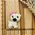 BISCUIT PUG BRANCO LAÇO ROSA - Imagem 1