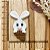 BISCUIT COELHO COM CHOCOLATE - Imagem 1