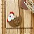 BISCUIT GALINHA MARROM - Imagem 1