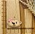 PINGENTE BISCUIT MACAQUINHA MENINA - Imagem 1