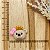 BISCUIT URSINHA PRINCESA - Imagem 1
