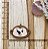 BISCUIT MACACO - Imagem 1
