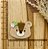 PINGENTE BISCUIT URSINHA BOSQUE - Imagem 1