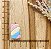 BISCUIT MARSHMALLOW - Imagem 1