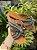 Chinelo Cris Onix - Imagem 3