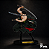 Totem Display Roronoa Zoro One Piece - Imagem 1