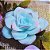 Suculenta Flor em Sabonete Artesanal | A Beleza que Floresce na Decoração - Imagem 5