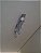 Trilho Spot Cromado Articulado Quadruplo 4Xgu10 - Noto - Imagem 2