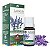 Óleo Essencial Lavanda Francesa 10ml - Imagem 1