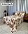Kit Colcha Casal Pollyana 3 Pçs - Imagem 6