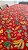 Toalha de Mesa Estampada 4 Lugares RM - Imagem 4