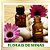 Florais de Minas - Floral Personalizado - 30ml - Imagem 1