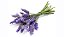 Óleo Essencial Lavanda  - 10ml - Imagem 2