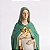 Nossa Senhora da Doce Espera Tradicional - 21cm - Acabamento Premium - Imagem 3