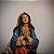 Nossa Senhora da Imaculada Conceição - 23 cm - Acabamento Premium - Gesso - Imagem 1