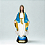 Imagem em Resina de Nossa Senhora das Graças - 21cm - Imagem 2