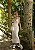 VESTIDO HELO - Imagem 3