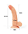 Strap On Cinta de Luxo Com Prótese Com Curva 21,5 x 4,5 cm - Imagem 2